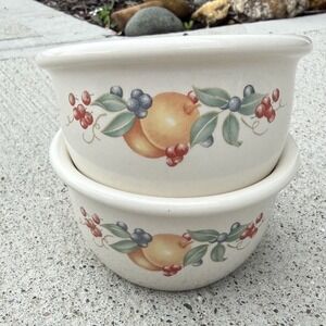 Corelle Coordinates Chutney Fruit Berry Stoneware Bowls Set 2 7 oz Vintage Y2K